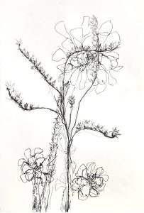 Vera Kos Paliska, na vjetru